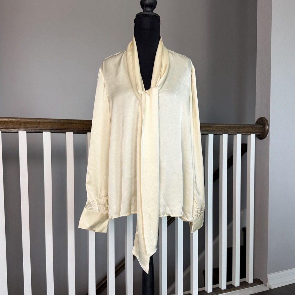 Zara NWT Ivory Satin Tie V Neck Long Sleeve Gold Button Large Whimsigoth Romance